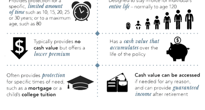 Term Life Insurance vs Whole Life Insurance: Which One is For You ...