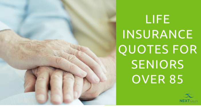 Life Insurance Quotes for Seniors Over 85