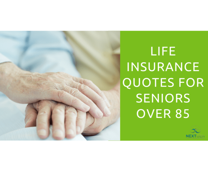 Life Insurance Quotes for Seniors Over 85 Life Insurance Quotes for Seniors Over 85