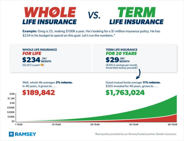 Term vs. Whole Life Insurance: What’s the Difference? - Eu-Agency Term vs. Whole Life Insurance: What’s the Difference? - Eu-Agency